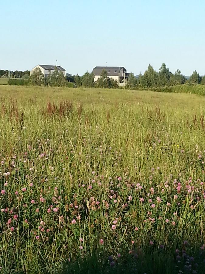 Barberry Hill Apartment Stratford Bagian luar foto